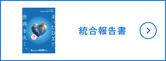 統合報告書